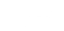Purview Lifesciences 